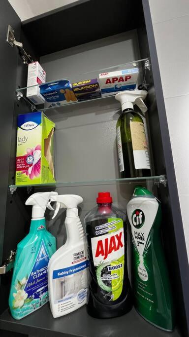 Gajowa Apartament Chorzow Bagian luar foto